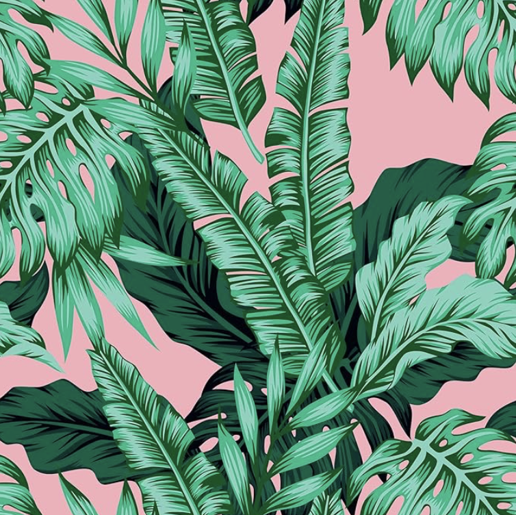 screenshot 2026 01 12 at 11.23.56 am